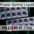 Power Spring Liquid 31